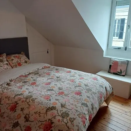 Maison Conviviale Terrasse & Parking - 24h Du Mans * Le Mans